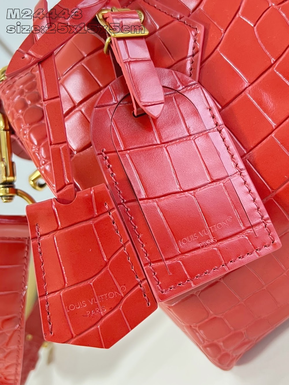 Dragons Bags ln Luxury Bag --96965