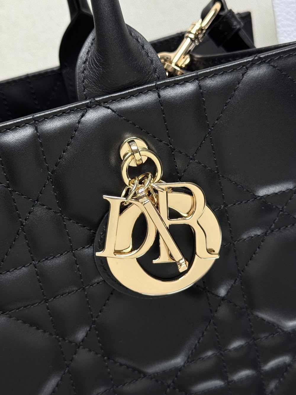 Dragons BagsDiorn Luxury Bag --115248