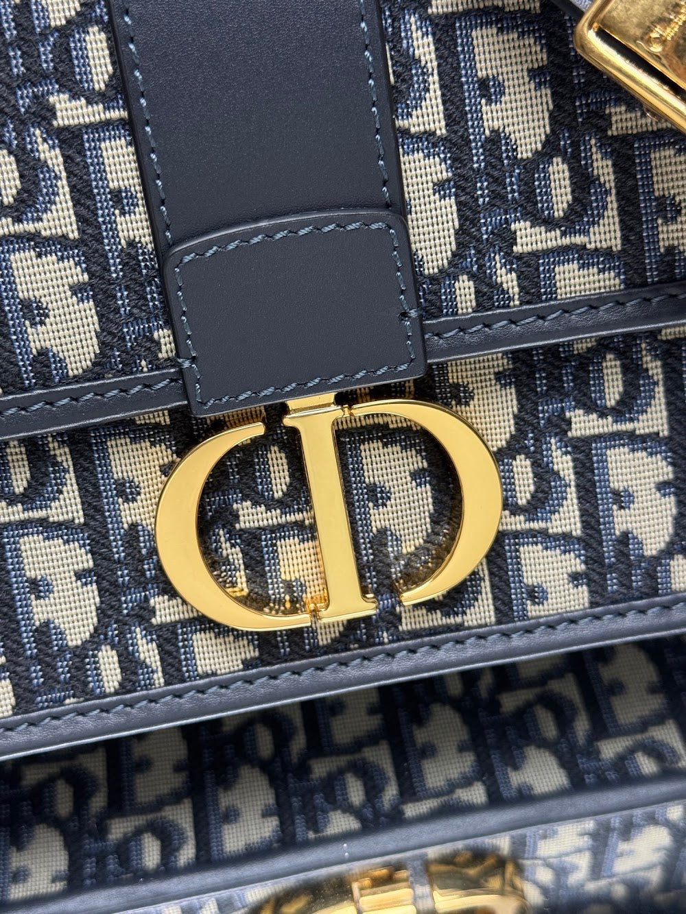 Dragons BagsDiorn Luxury Bag --115968