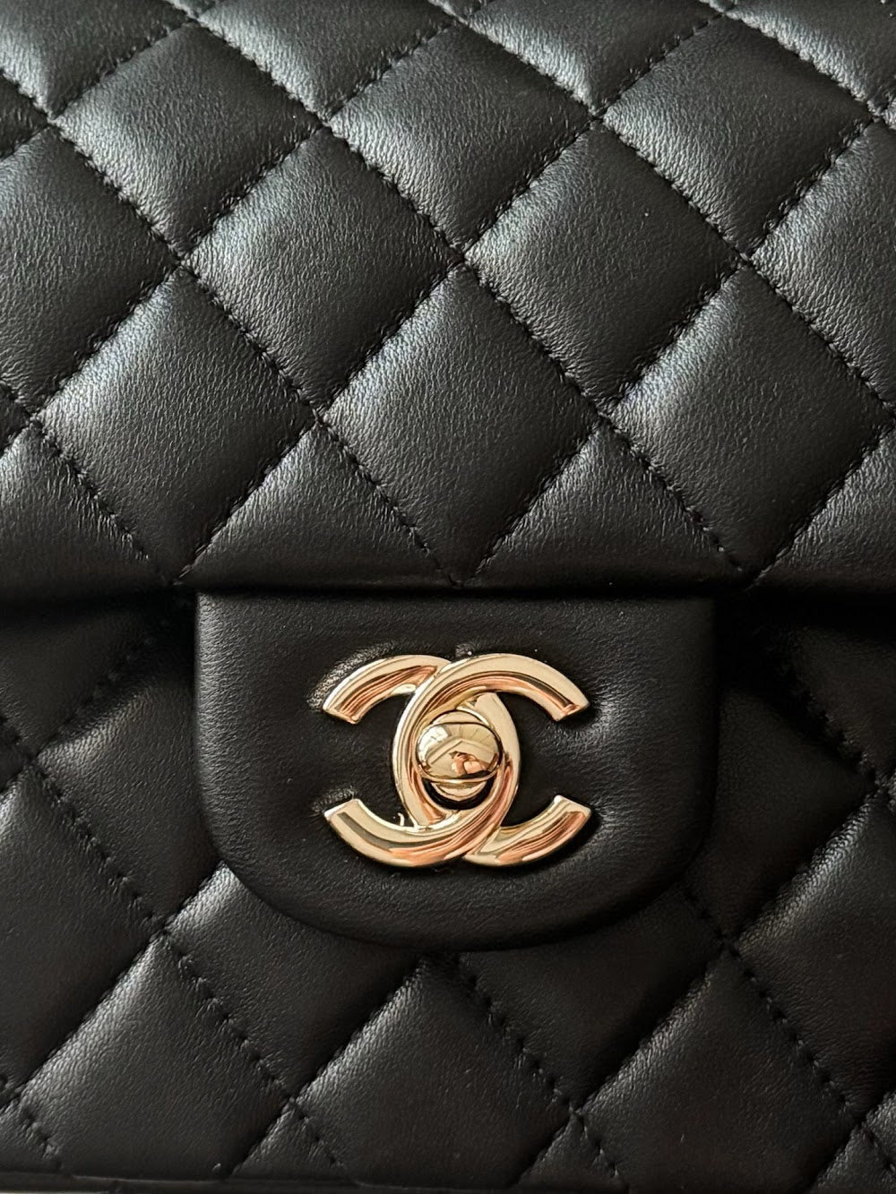 Dragons Bags CHn Luxury Bag --112984