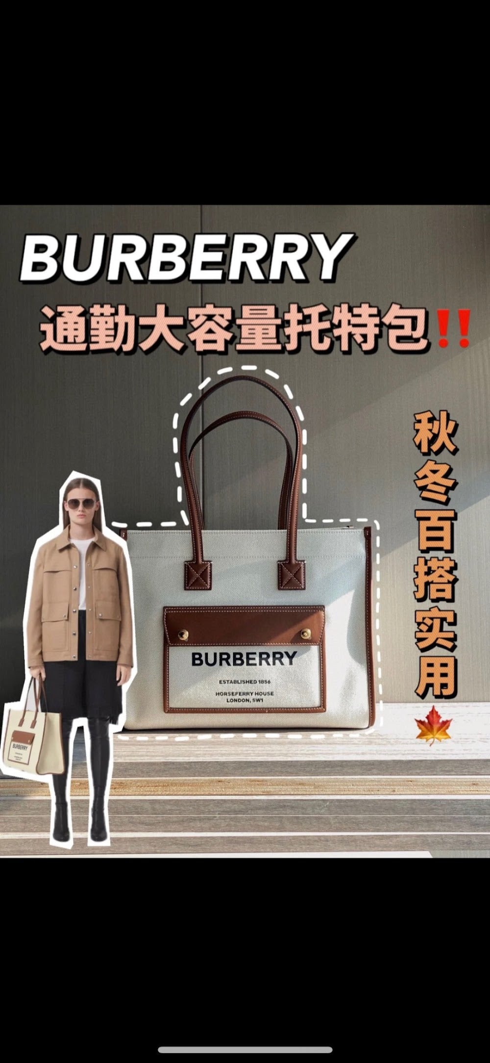 Dragons Bags Burberryn Luxury Bag --92716