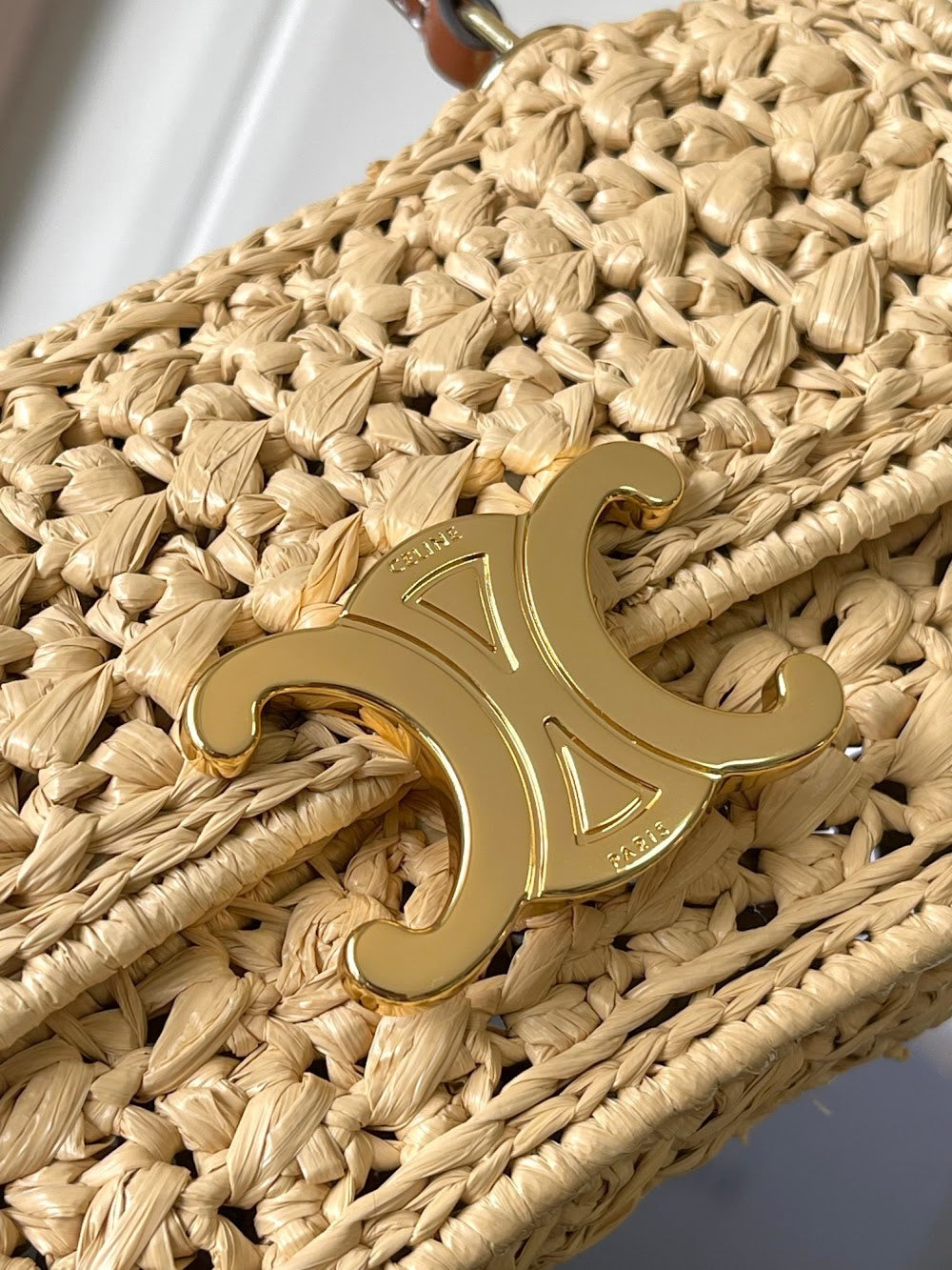 Dragons Bags Celine Luxury Bag --112313