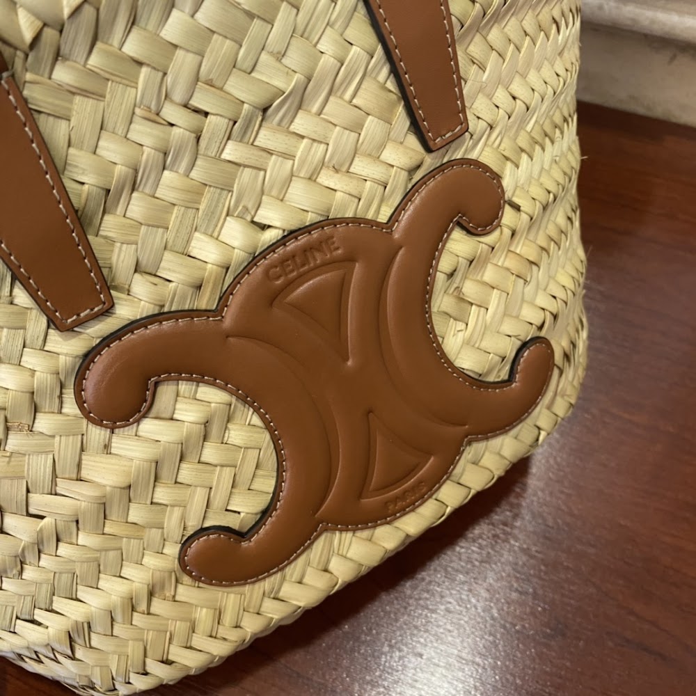 Dragons Bags Celine Luxury Bag --111980