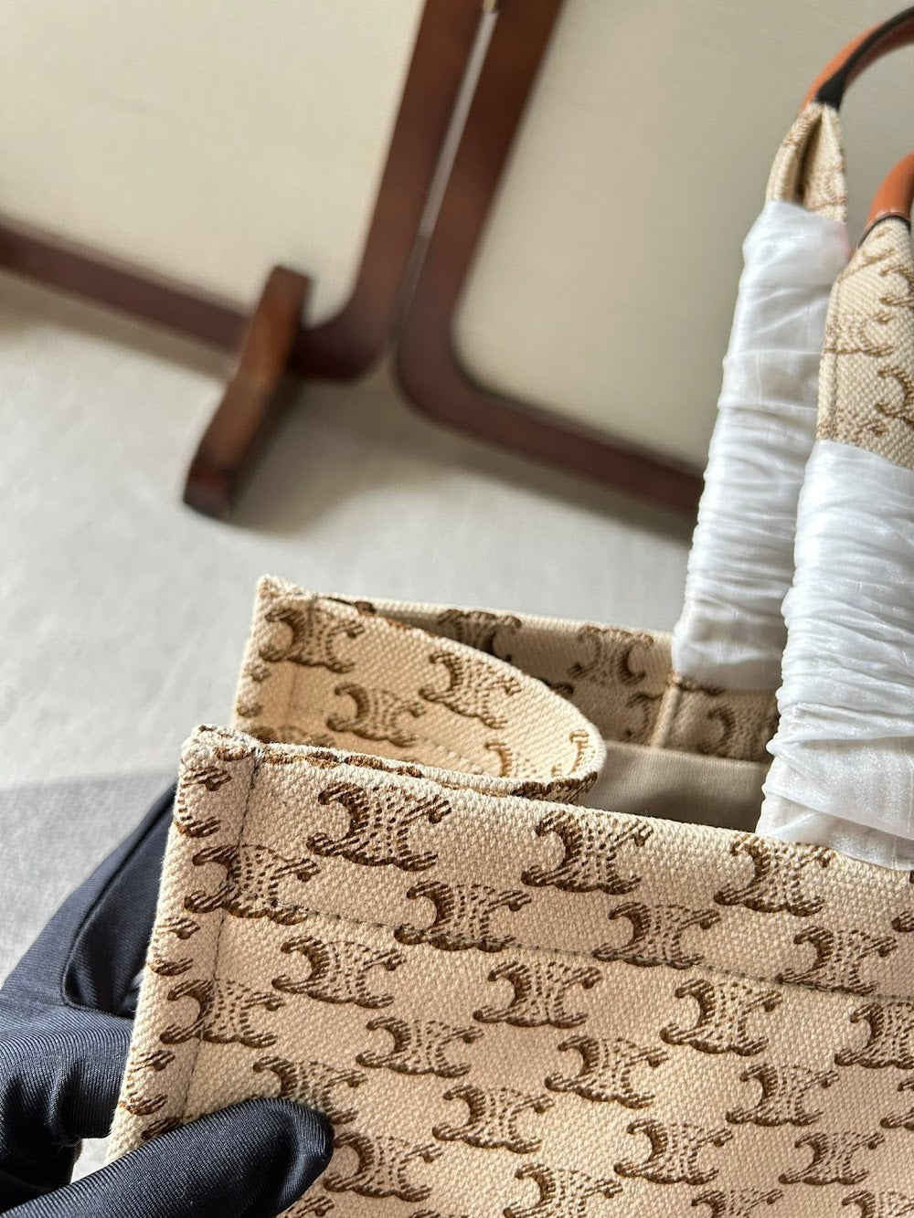 Dragons Bags Celine Luxury Bag --112218