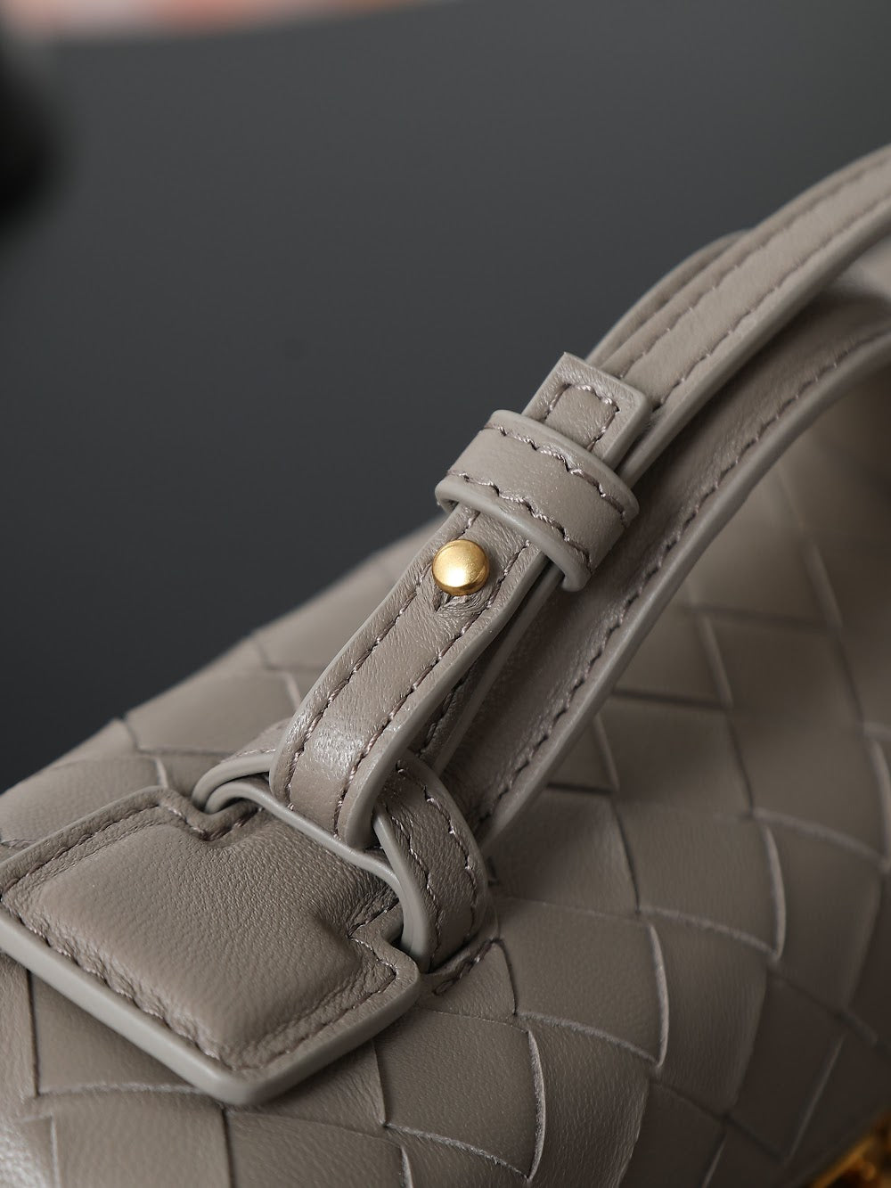 Dragons Bags Bottegan Luxury Bag --91421