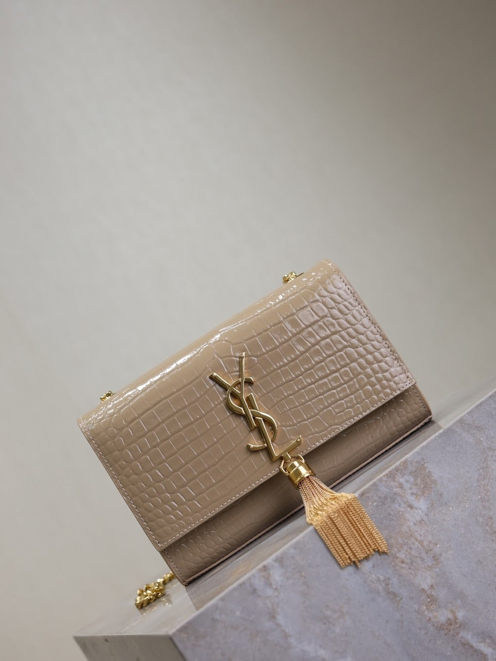 Dragons Bags YSLn Luxury Bag --119161