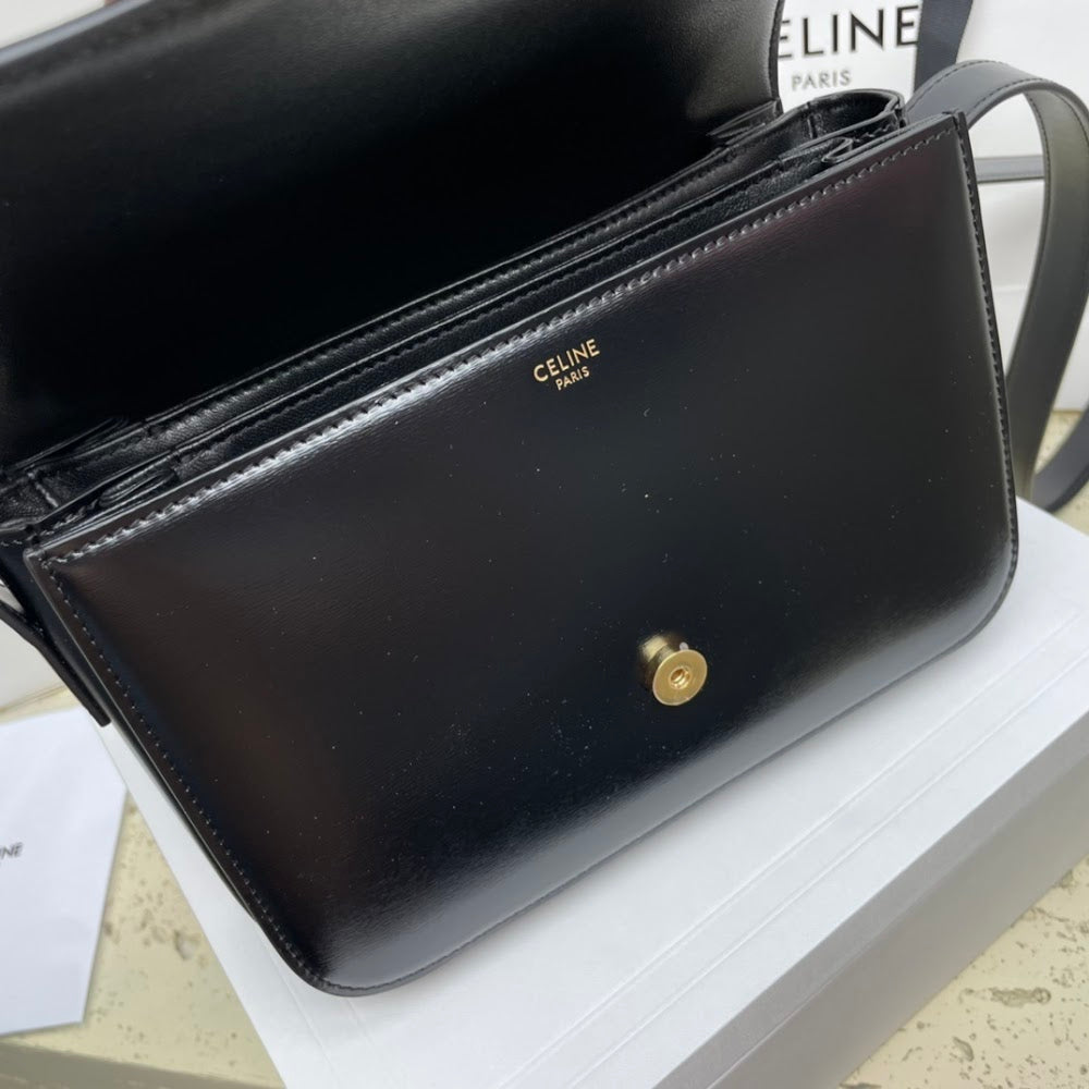 Dragons Bags Celine Luxury Bag --112469