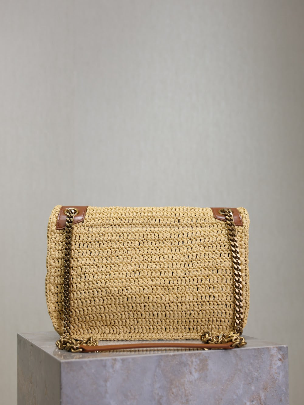 Dragons Bags YSLn Luxury Bag --119182