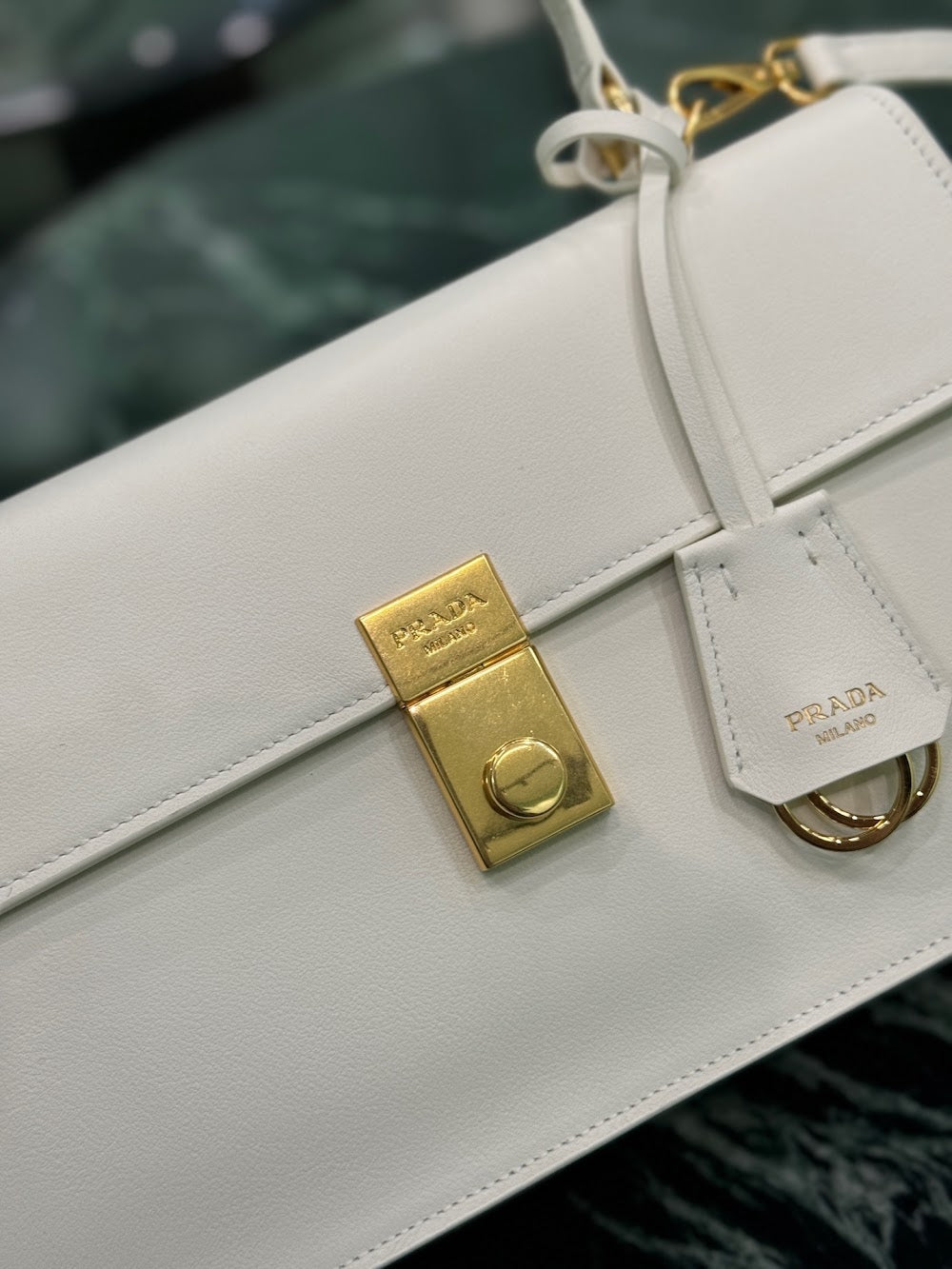 Dragons Bags Pradn Luxury Bag --102075