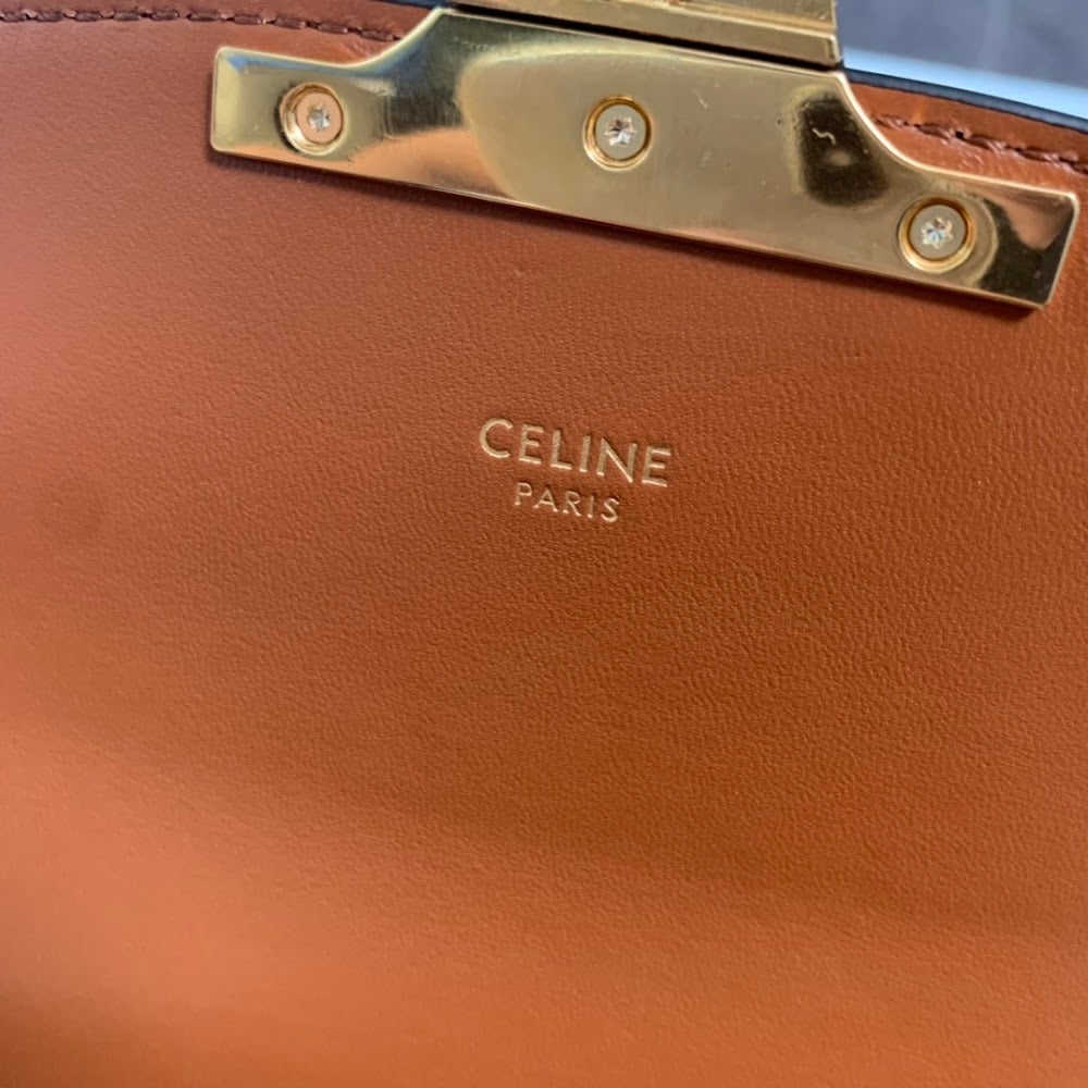 Dragons Bags Celine Luxury Bag --111989