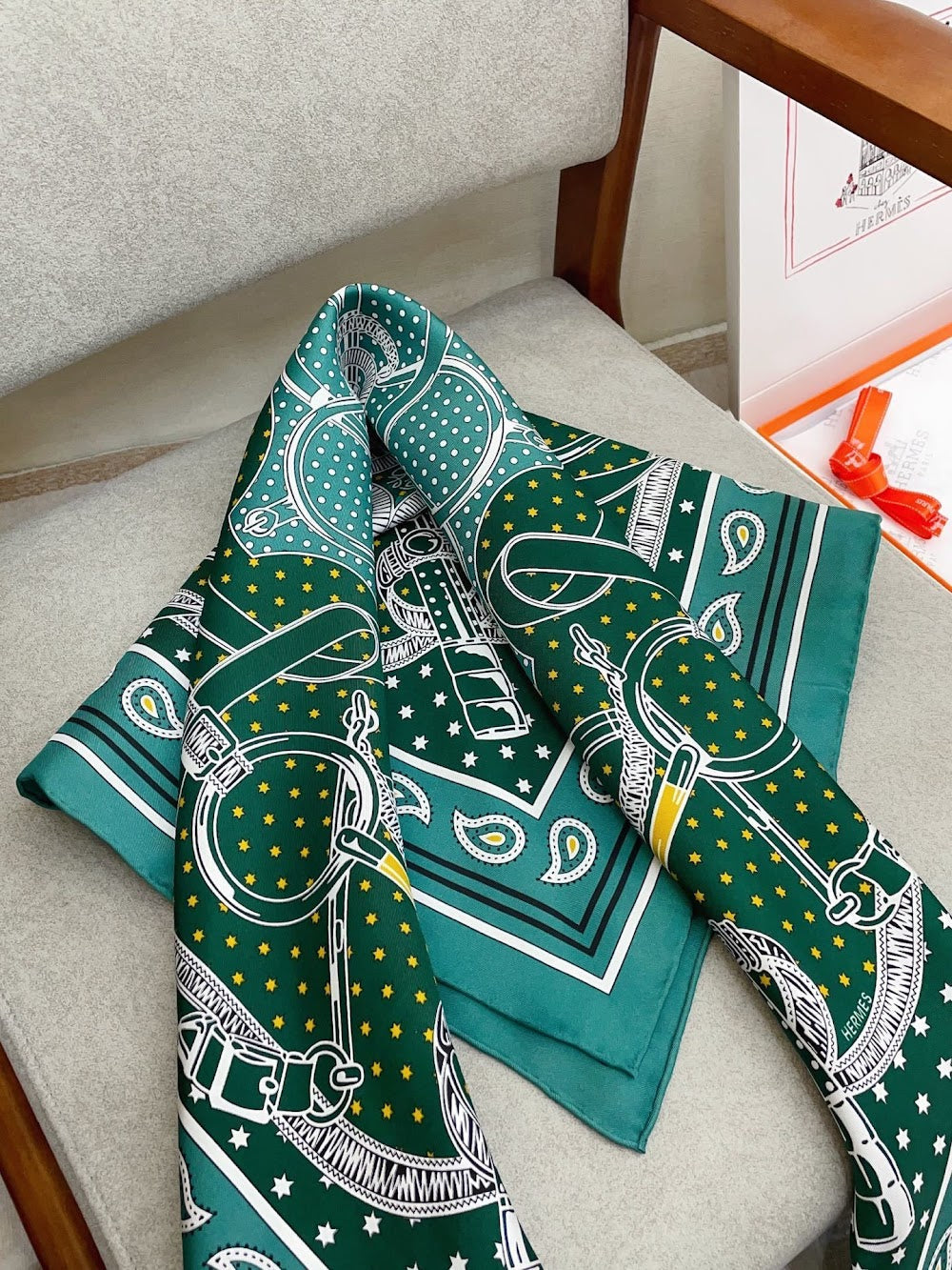 Dragons Bags Premium Designer Scarf --98844