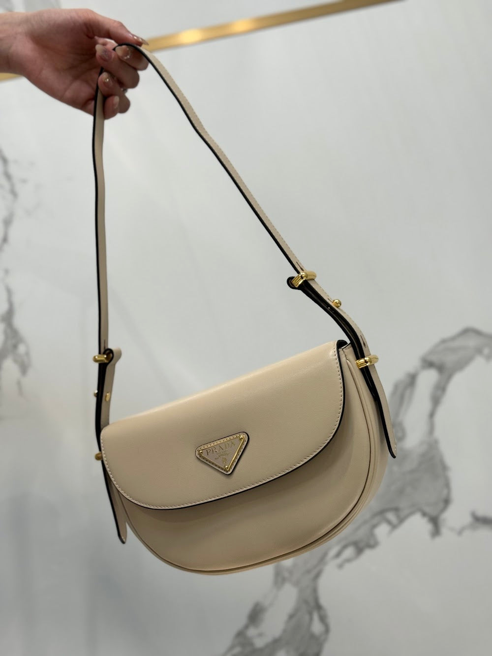 Dragons Bags Pradn Luxury Bag --102087