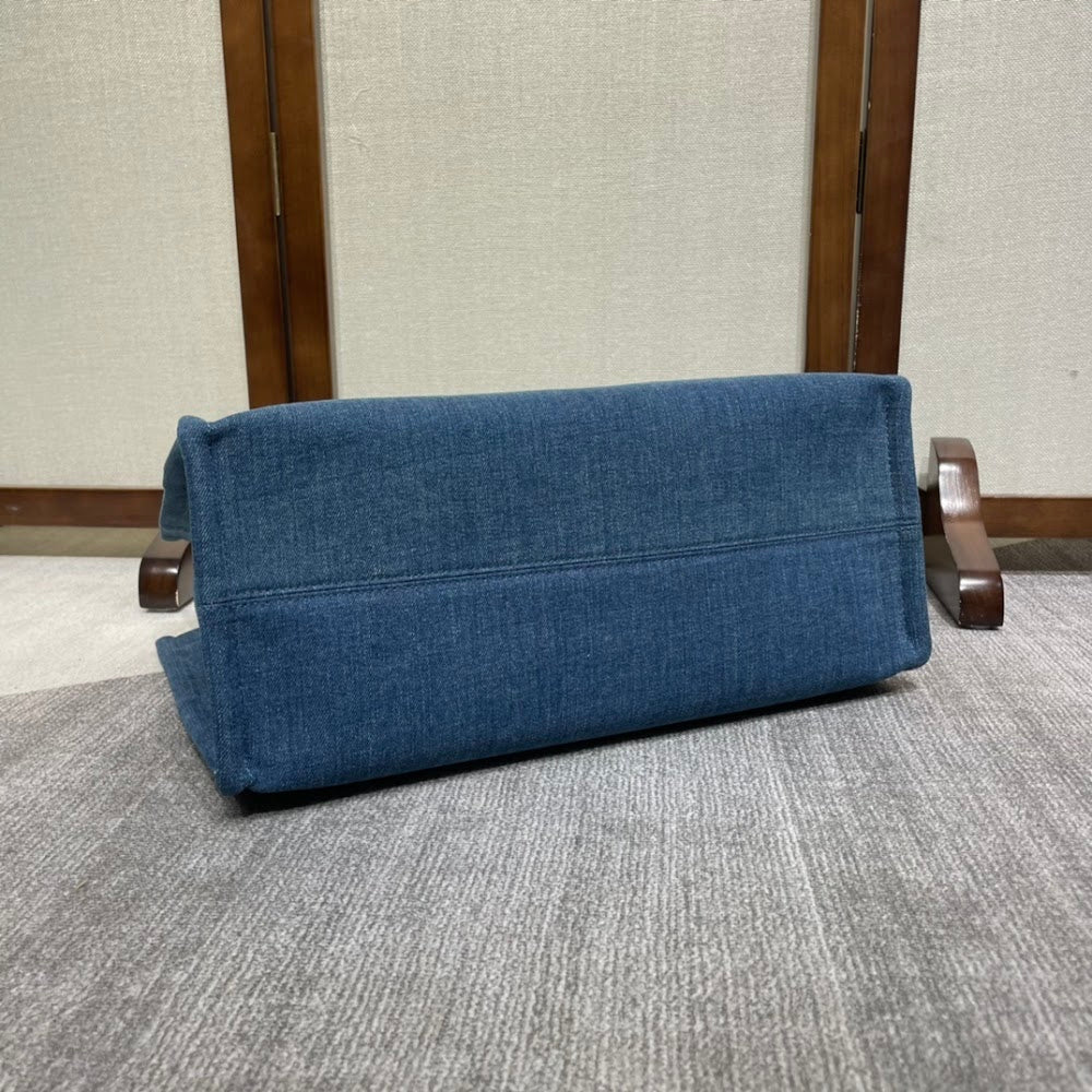 Dragons Bags Celine Luxury Bag --112215