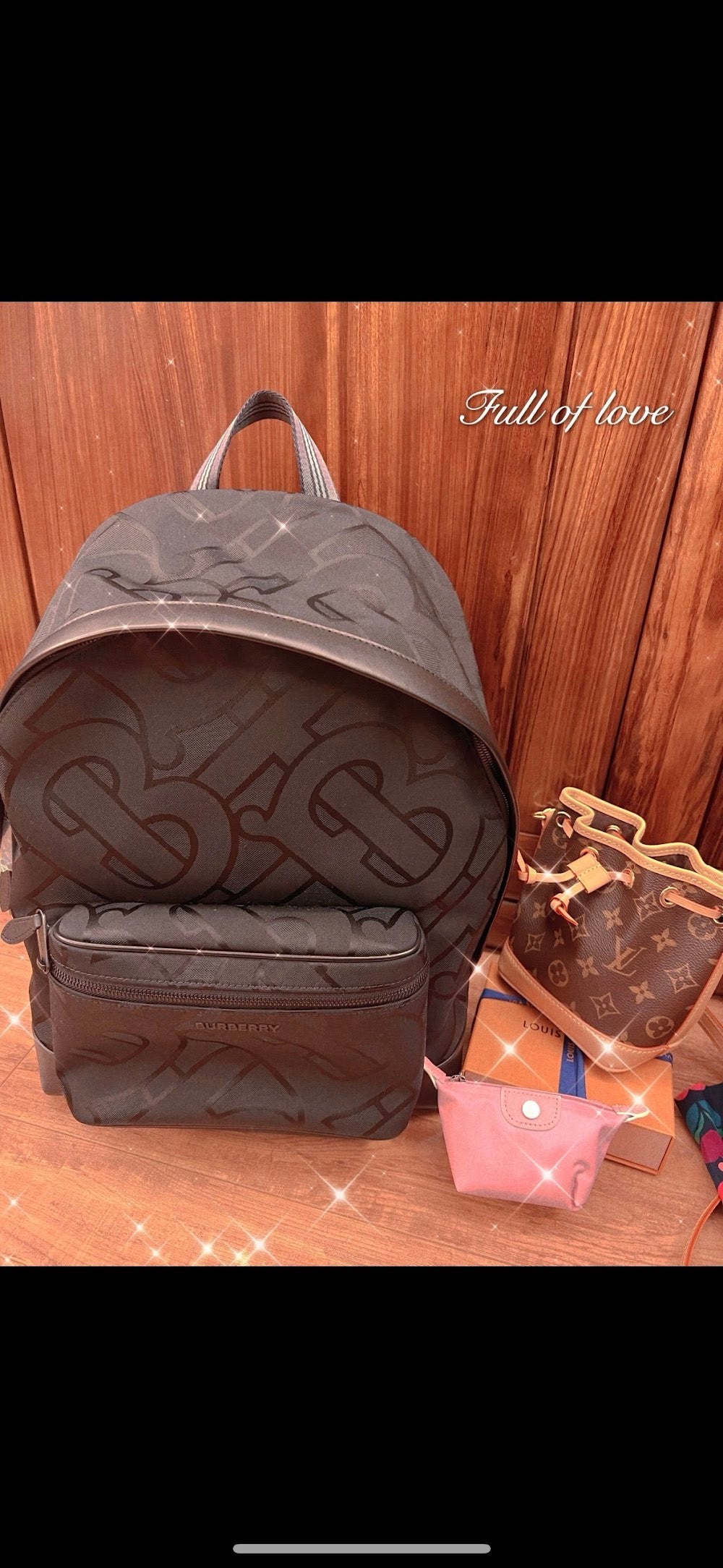 Dragons Bags Burberryn Luxury Bag --93052