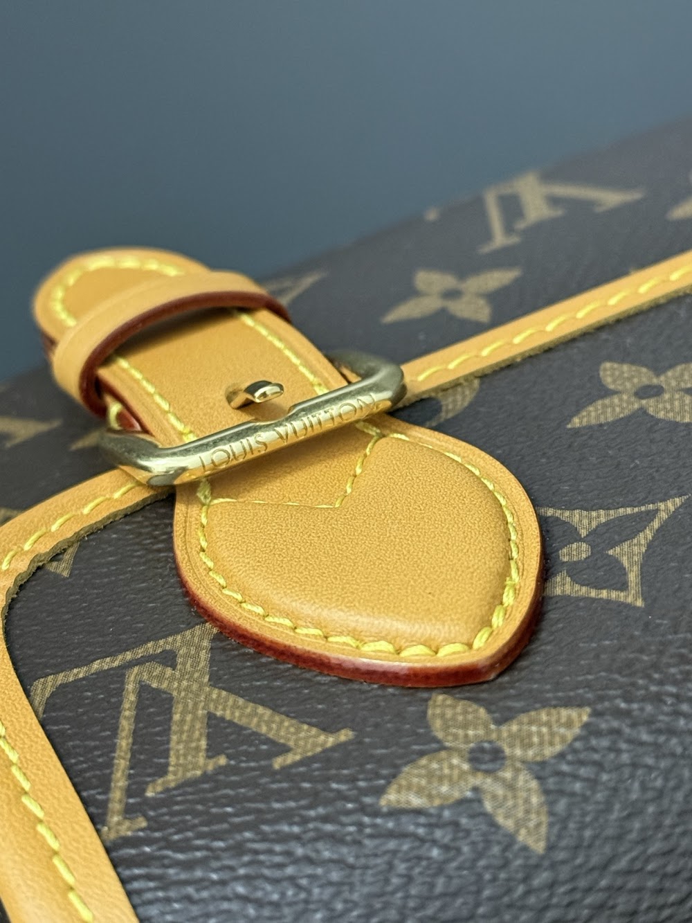 Dragons Bags ln Luxury Bag --96920
