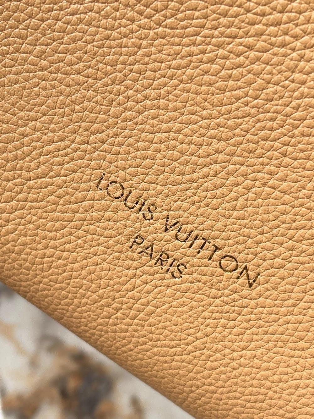 Dragons Bags ln Luxury Bag --95702