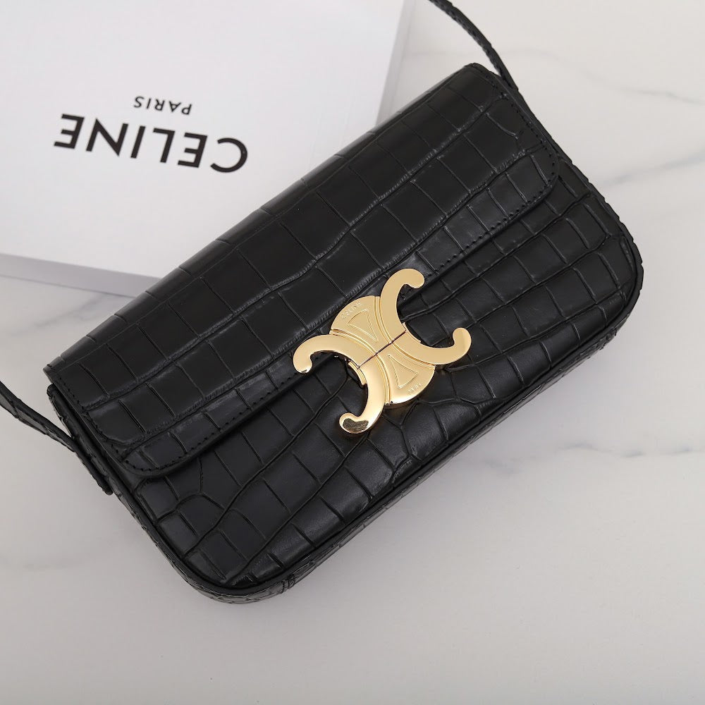 Dragons Bags Celine Luxury Bag --112151