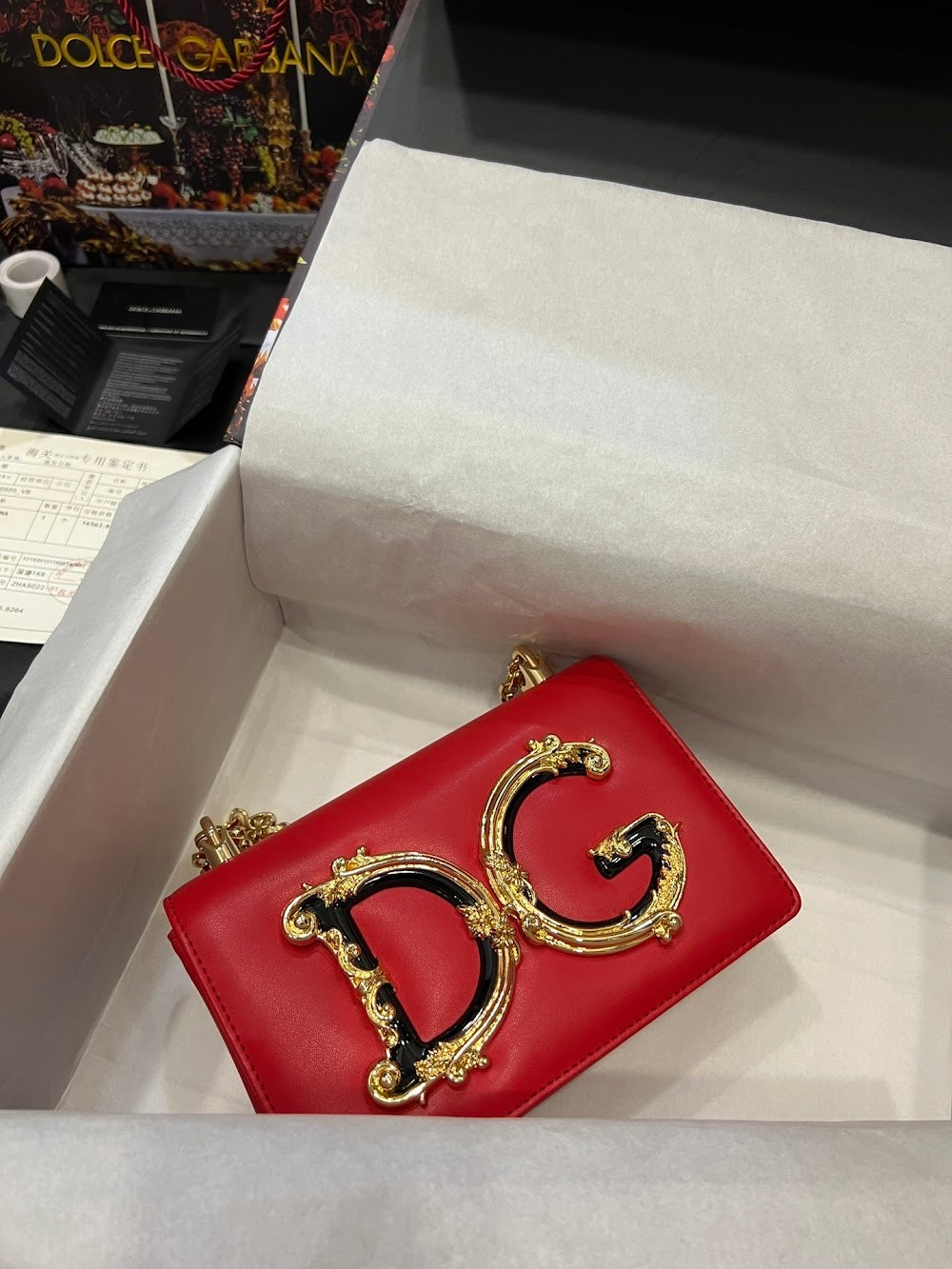 Dragons Bags DGn Luxury Bag --93877