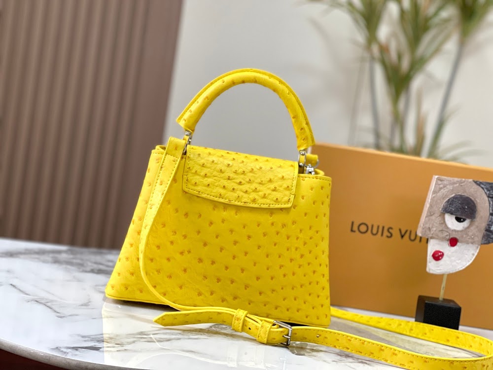 Dragons Bags LVn Luxury Bag --80708