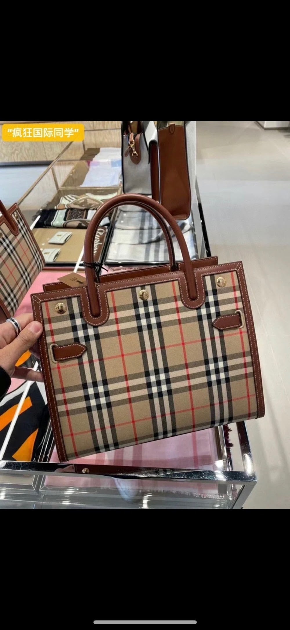 Dragons Bags Burberryn Luxury Bag --92653