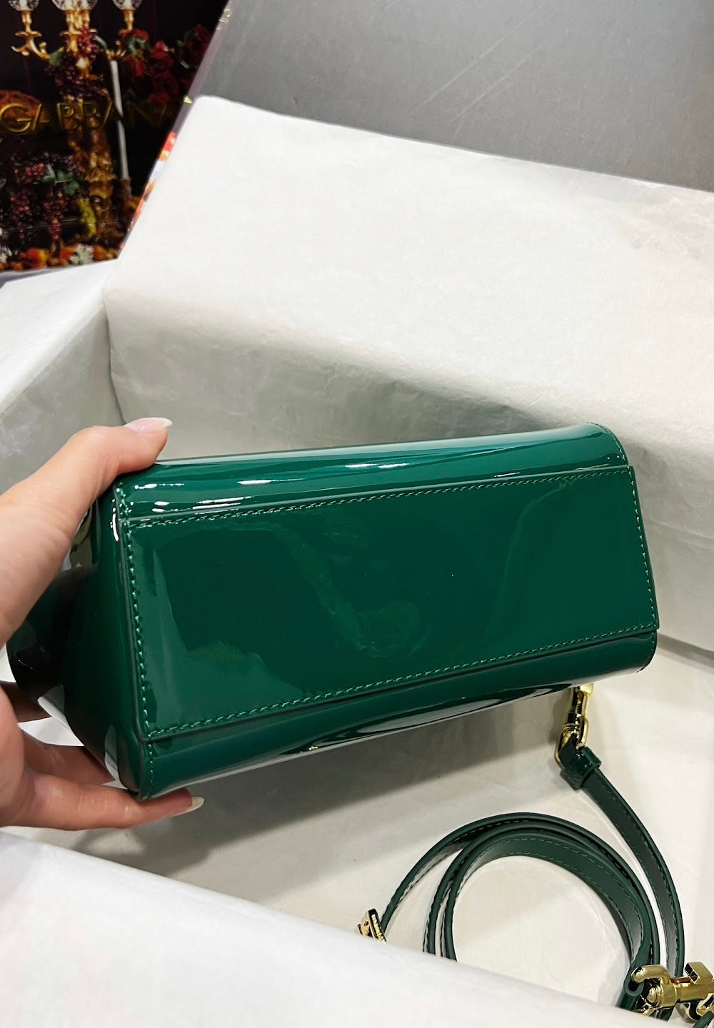 Dragons Bags DGn Luxury Bag --93296