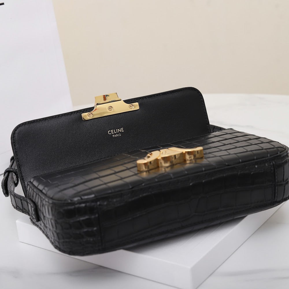 Dragons Bags Celine Luxury Bag --112151