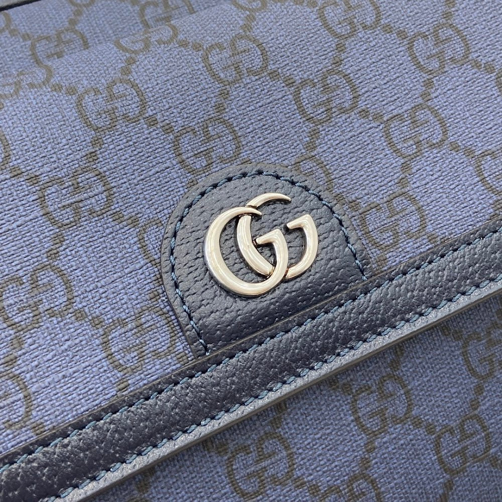 Dragons Bags Guccin Luxury Bag --94479