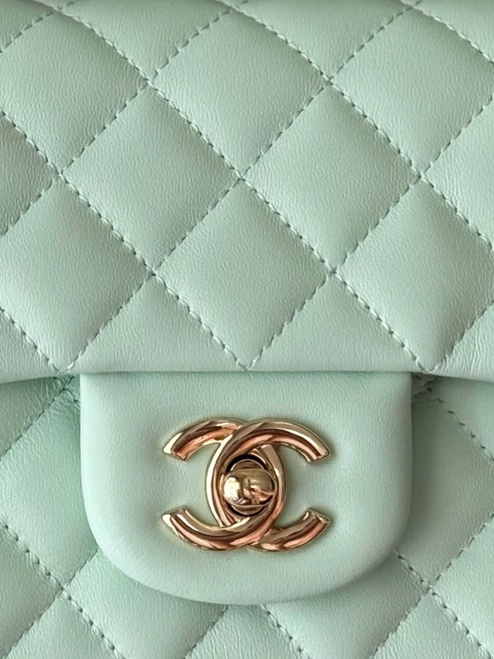 Dragons Bags CHn Luxury Bag --112994