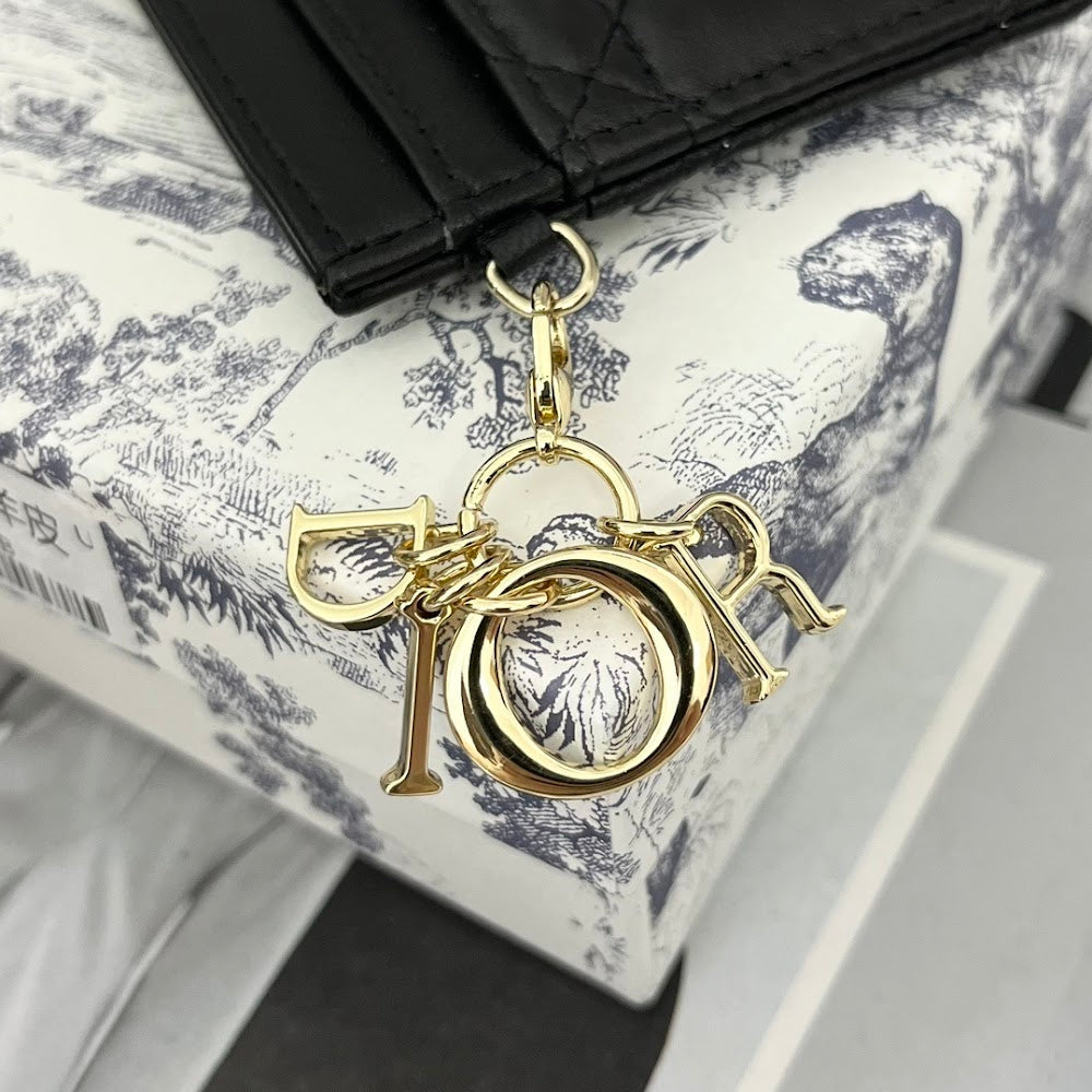 Dragons BagsDiorn Luxury Bag --115882