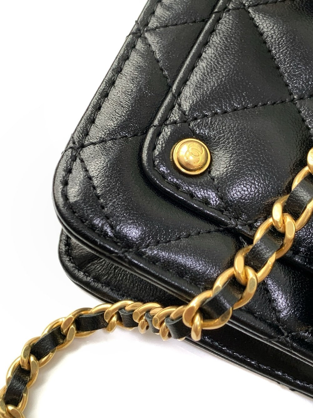 Dragons BagsCHn Luxury Bag --114097
