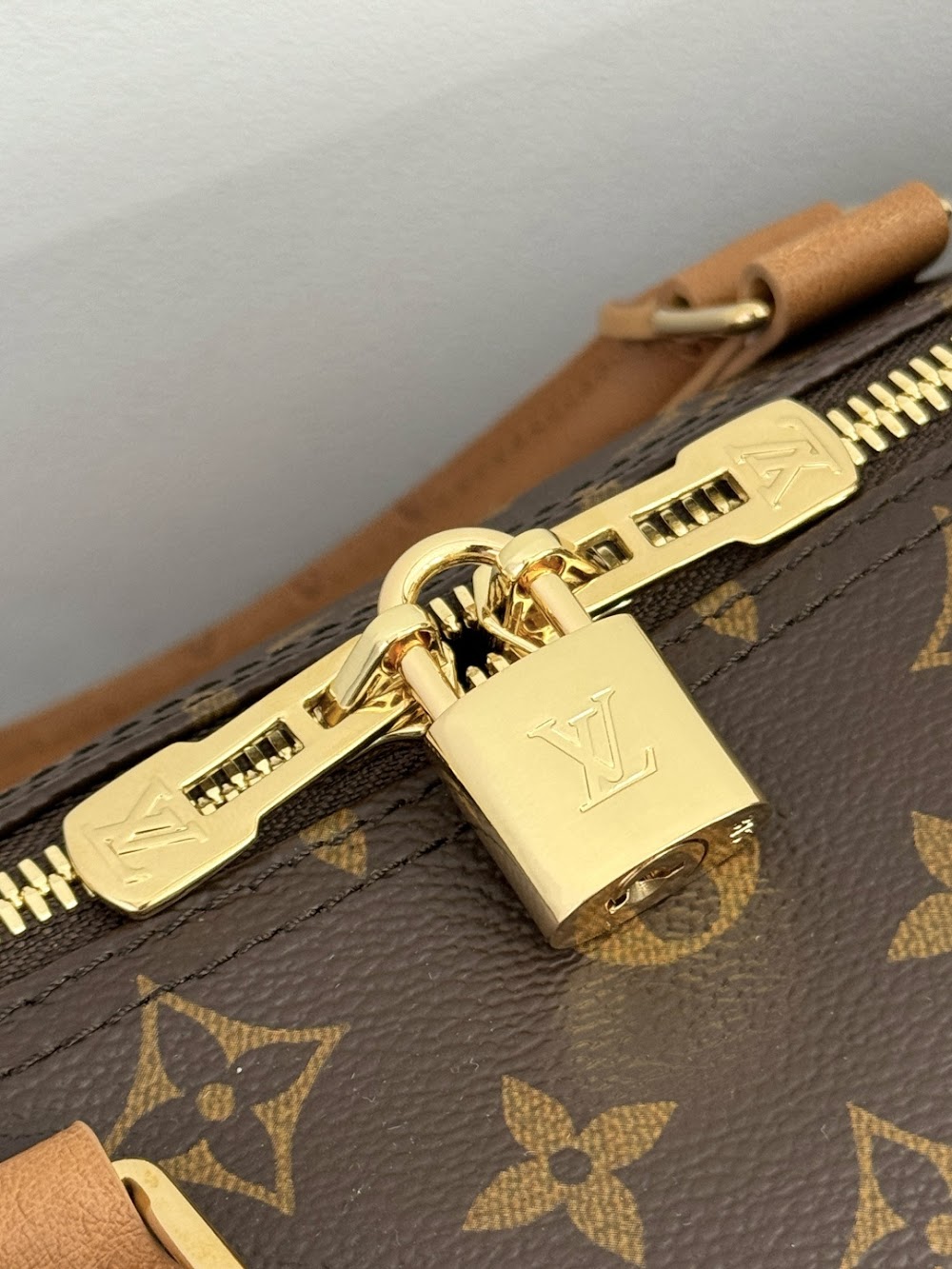 Dragons Bags ln Luxury Bag --96286
