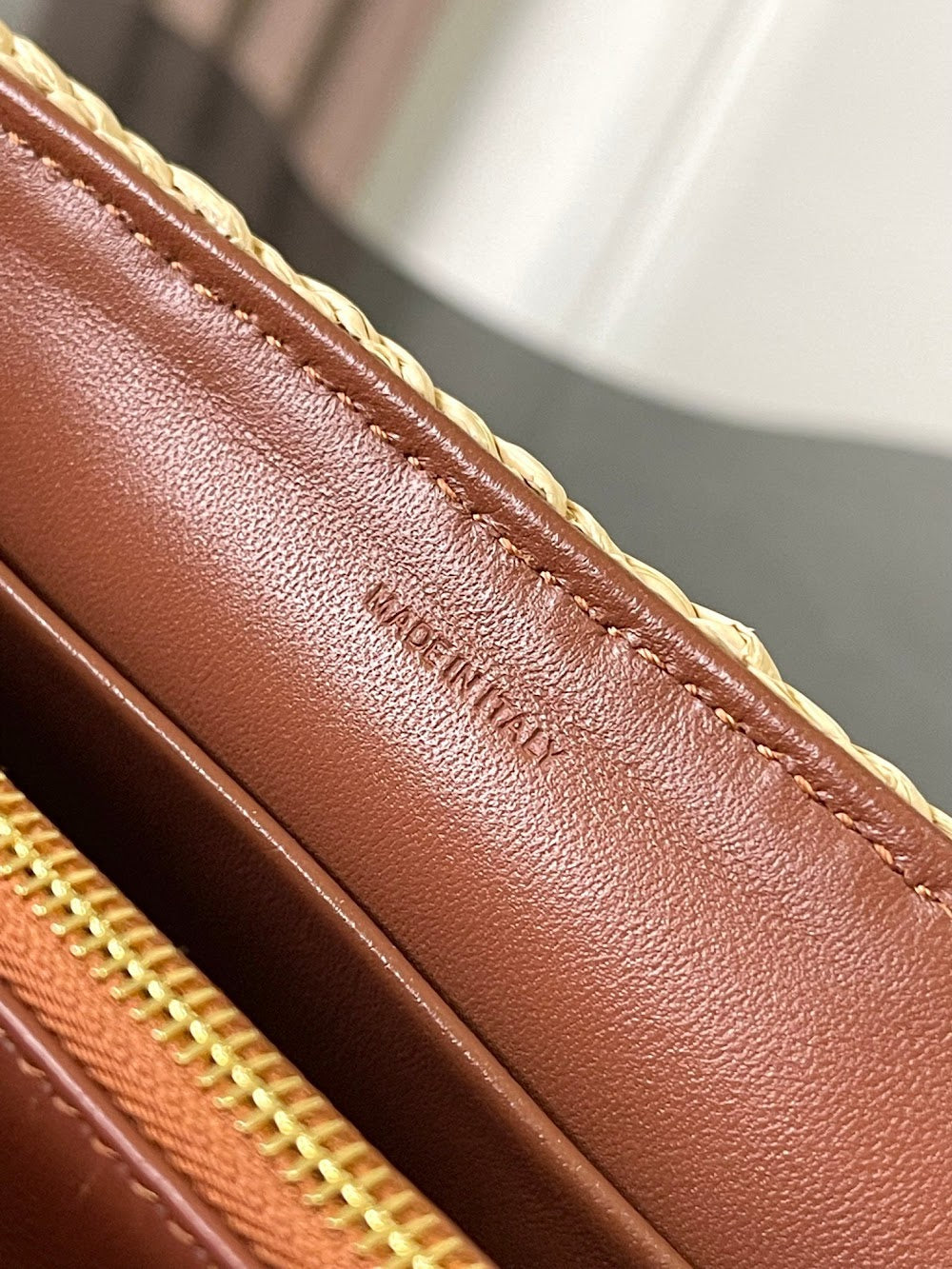 Dragons Bags Celine Luxury Bag --112357