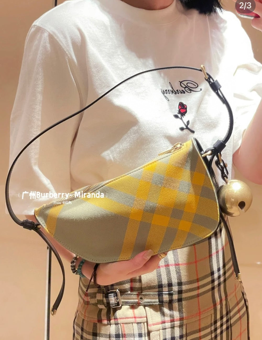 Dragons Bags Burberryn Luxury Bag --92119