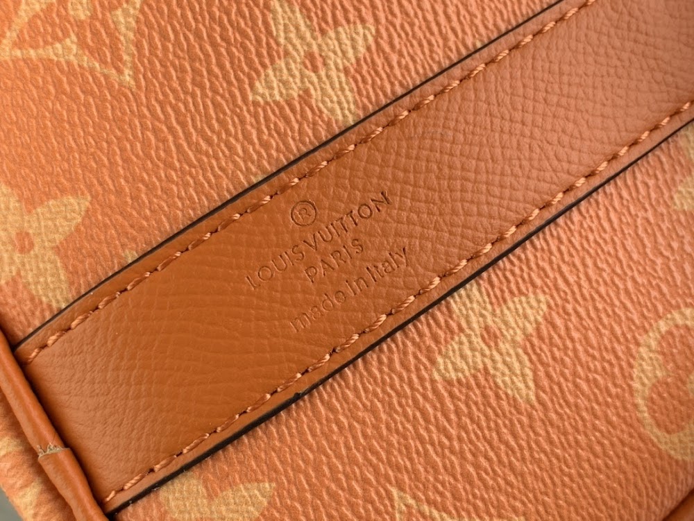 Dragons Bags ln Luxury Bag --68880