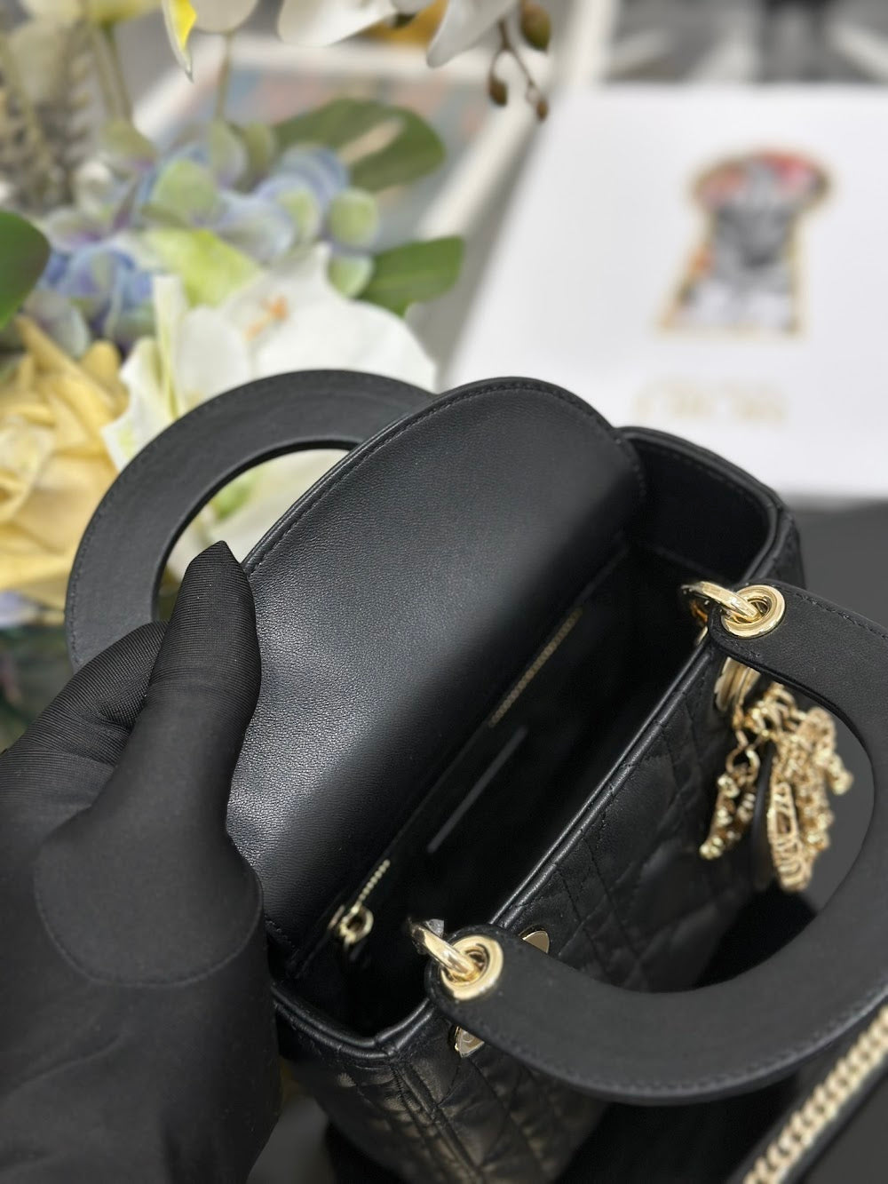 Dragons BagsDiorn Luxury Bag --116091