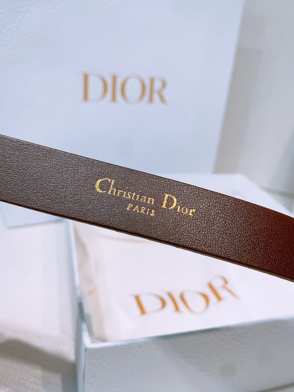 Dragons Bags Diorn Luxury Belt --107725