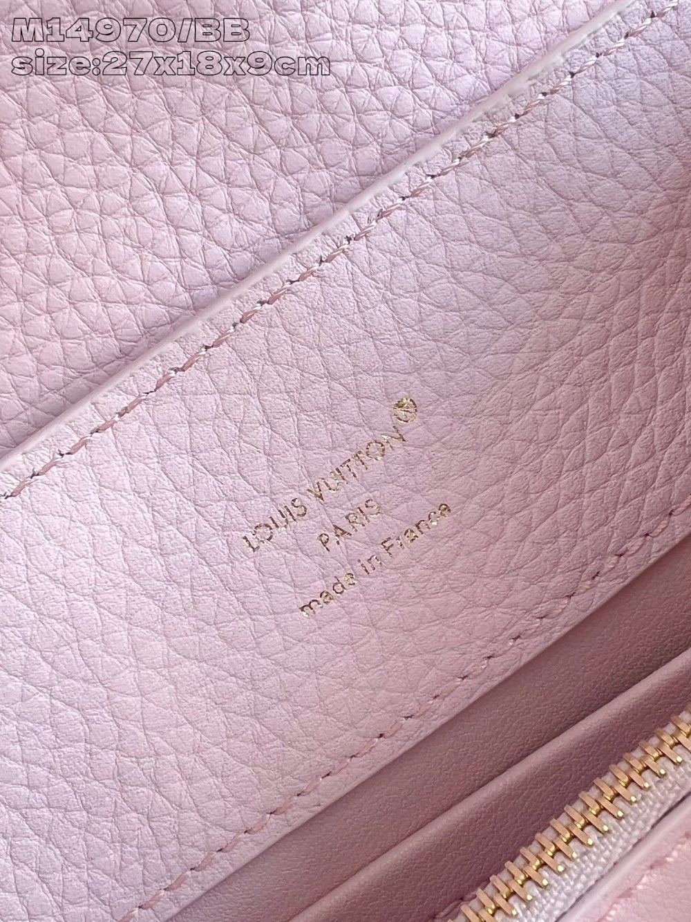 Dragons Bags ln Luxury Bag --97376