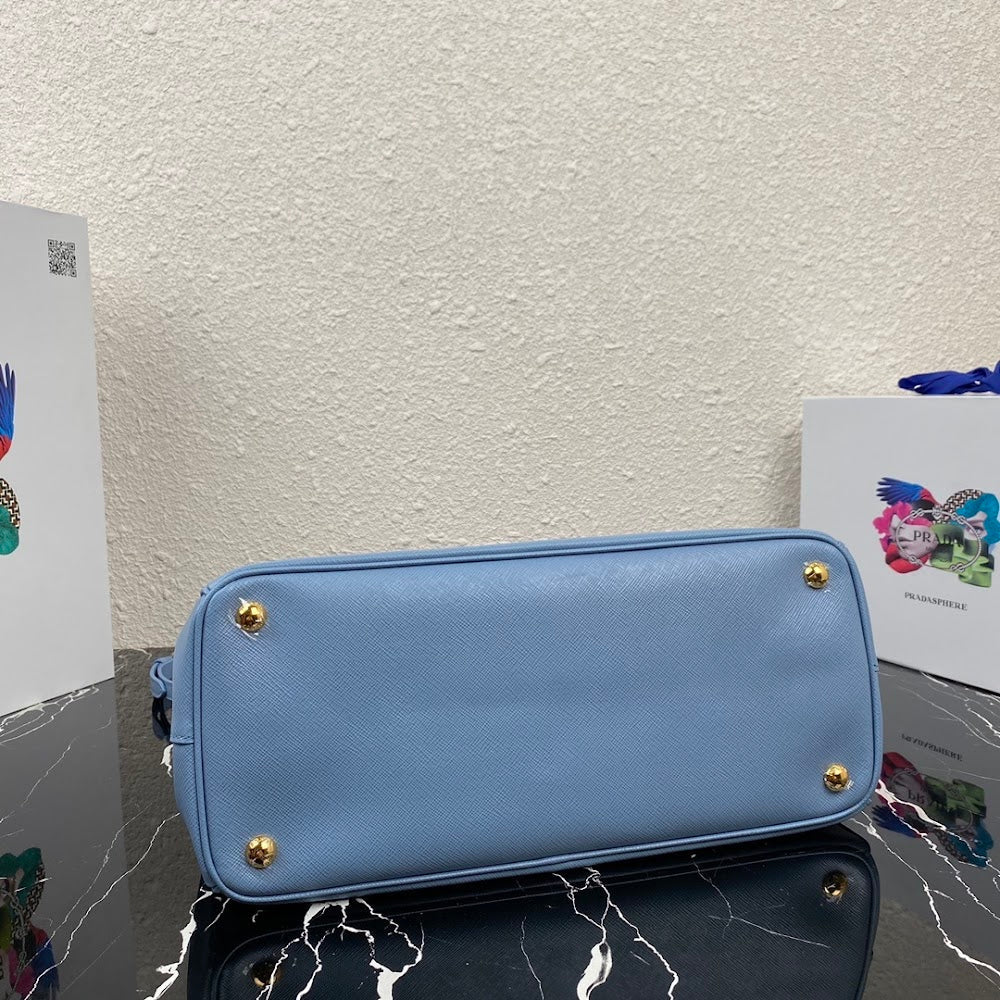 Dragons Bags Pradn Luxury Bag --102709