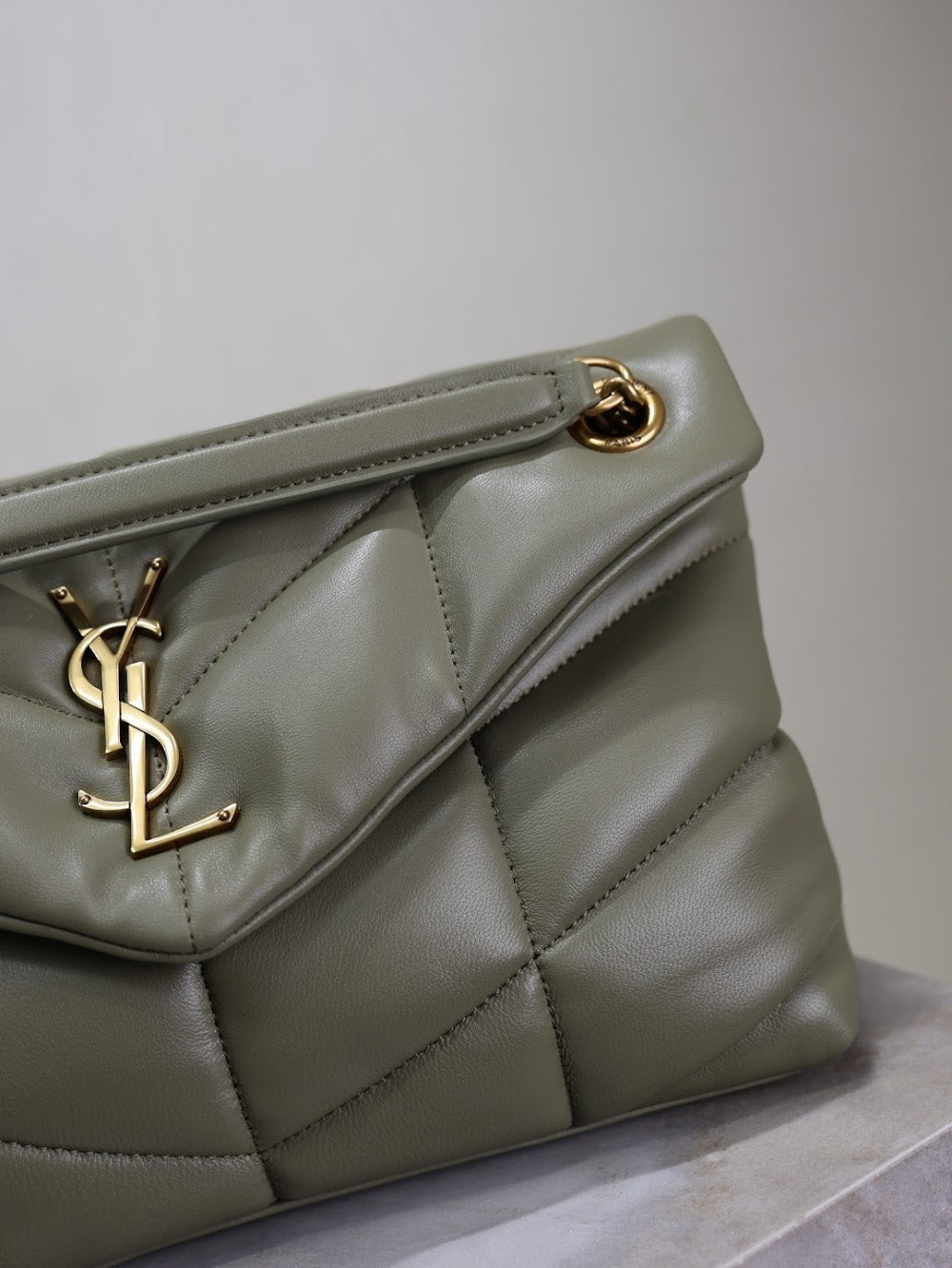 Dragons Bags YSLn Luxury Bag --119445