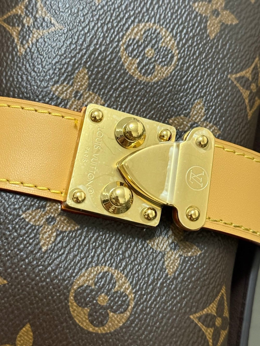 Dragons Bags ln Luxury Bag --95586