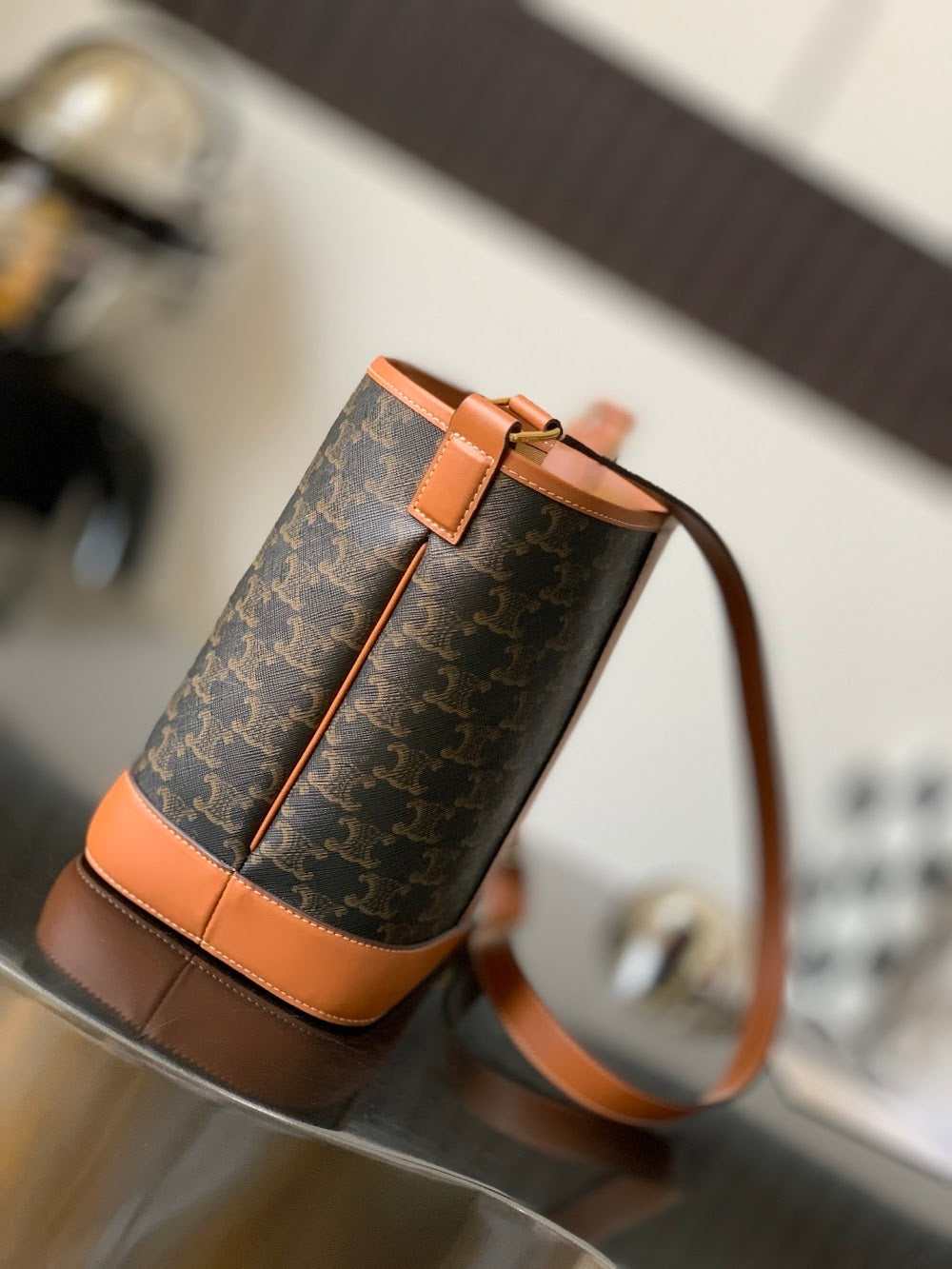 Dragons Bags Celine Luxury Bag --112578