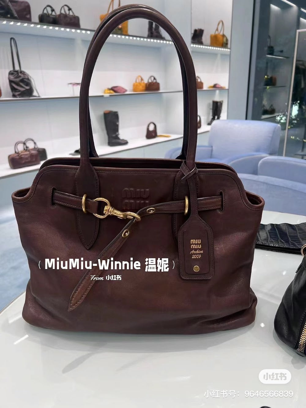 Dragons Bags Miun Miun Luxury Bag --122618