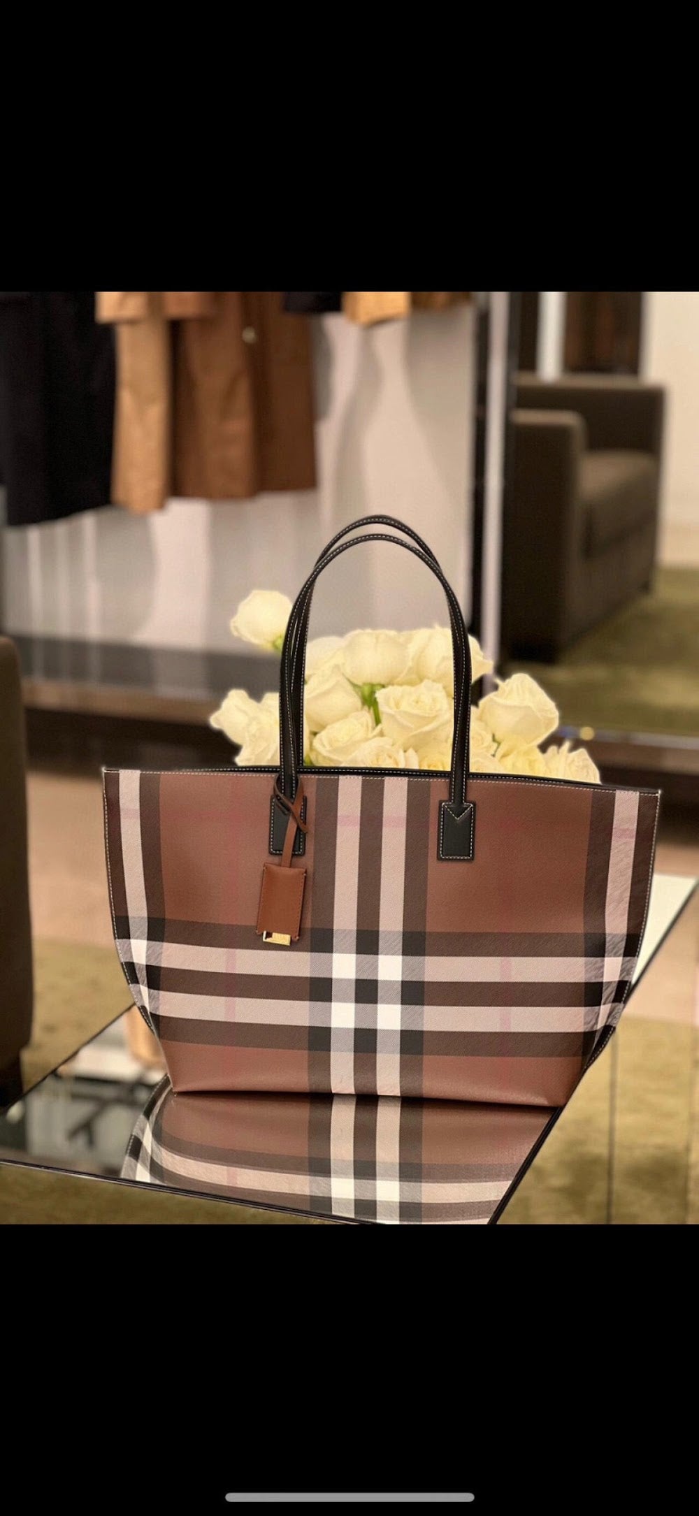 Dragons Bags Burberryn Luxury Bag --92457