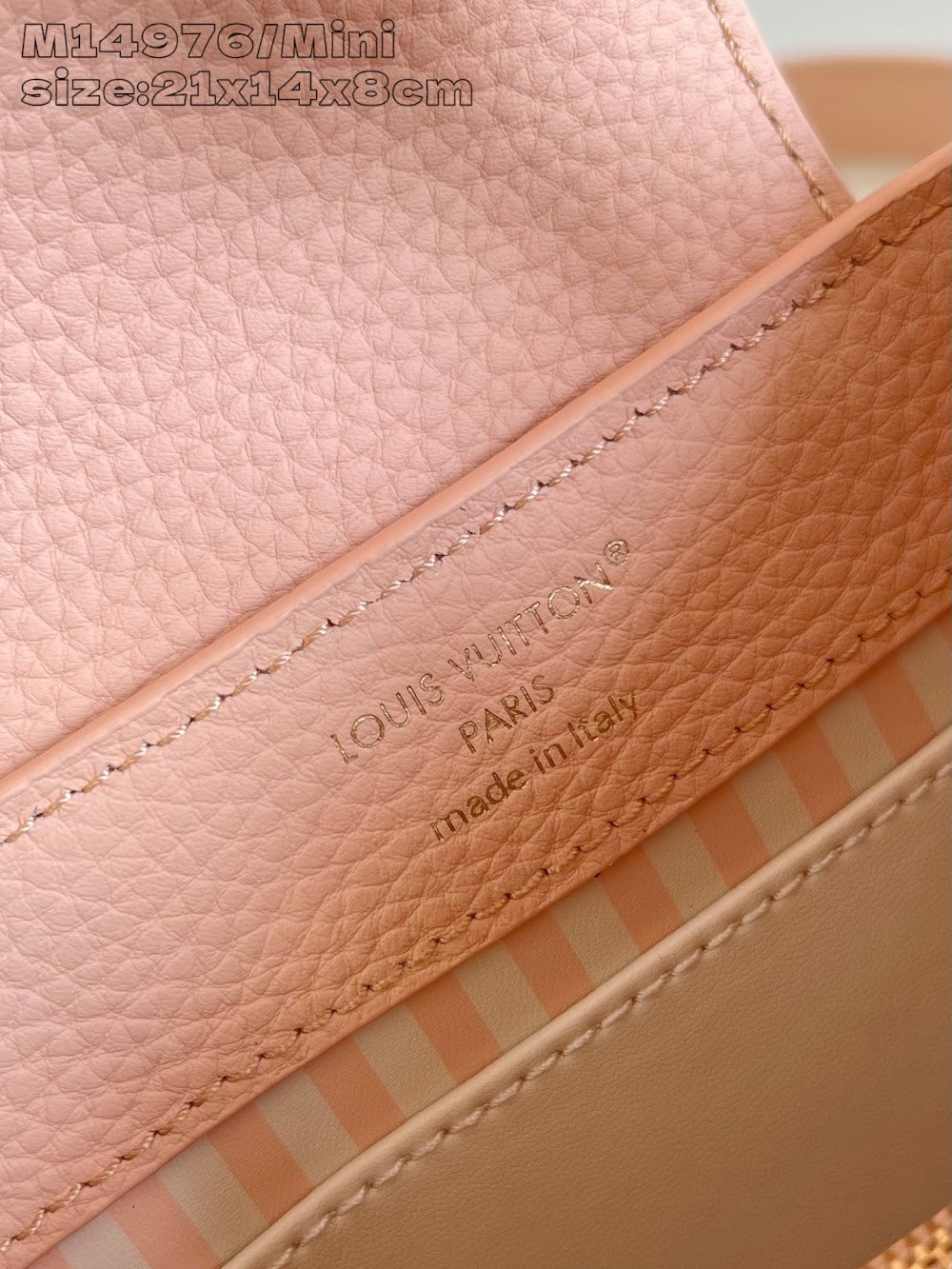 Dragons Bags ln Luxury Bag --97555