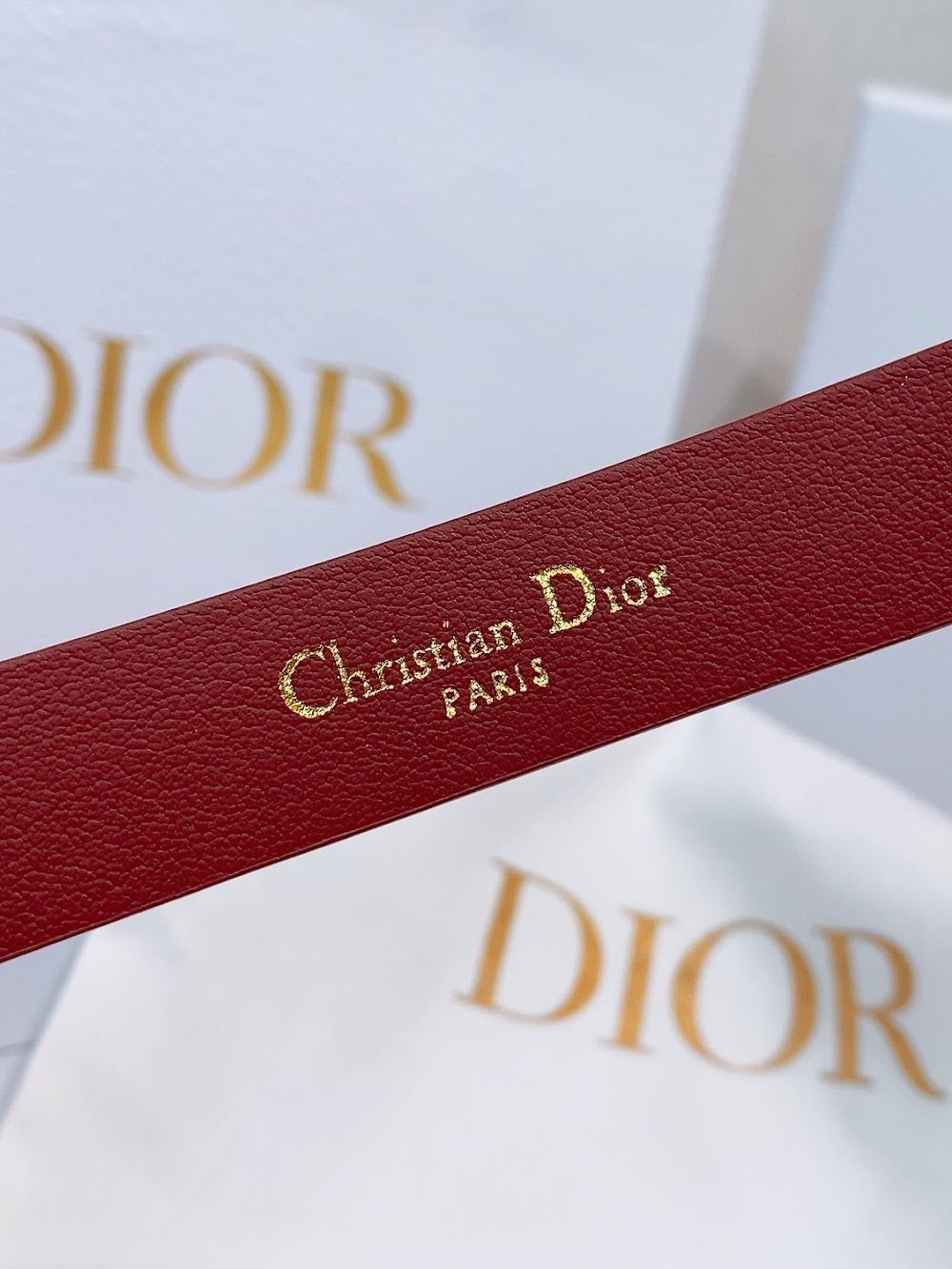 Dragons Bags Diorn Luxury Belt --104970
