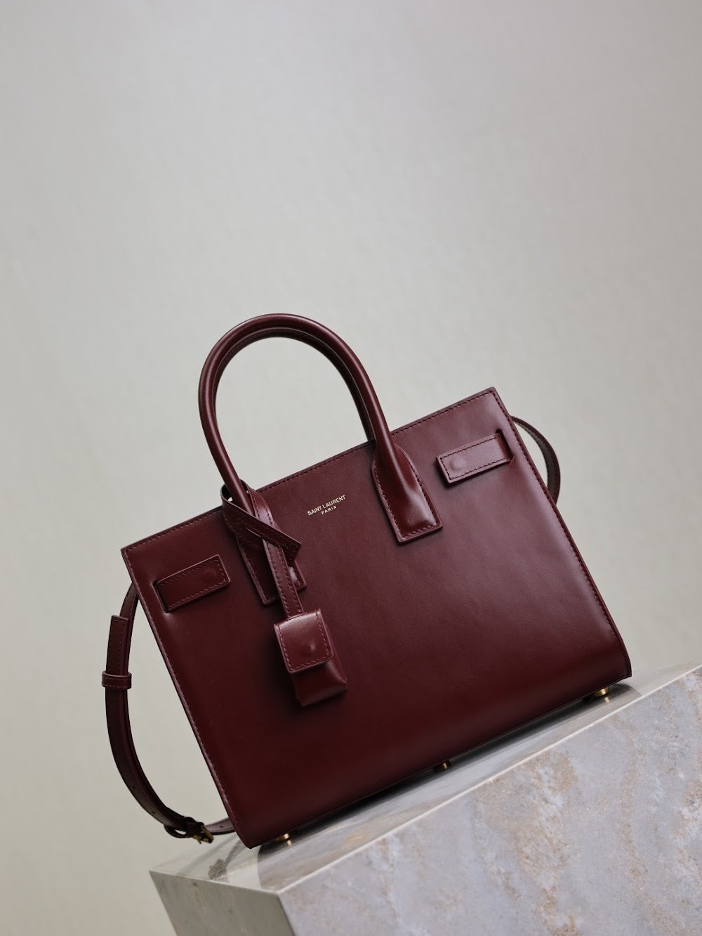 Dragons Bags YSLn Luxury Bag --119277