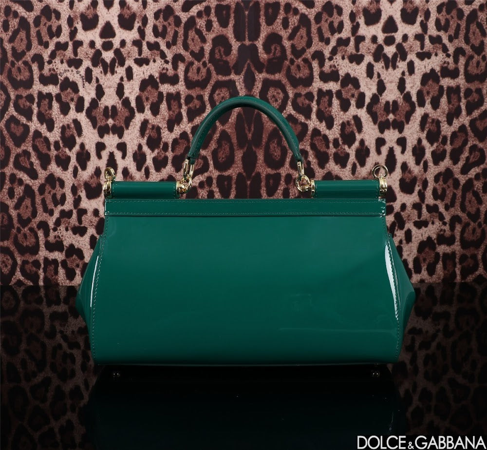 Dragons Bags DGn Luxury Bag --93631