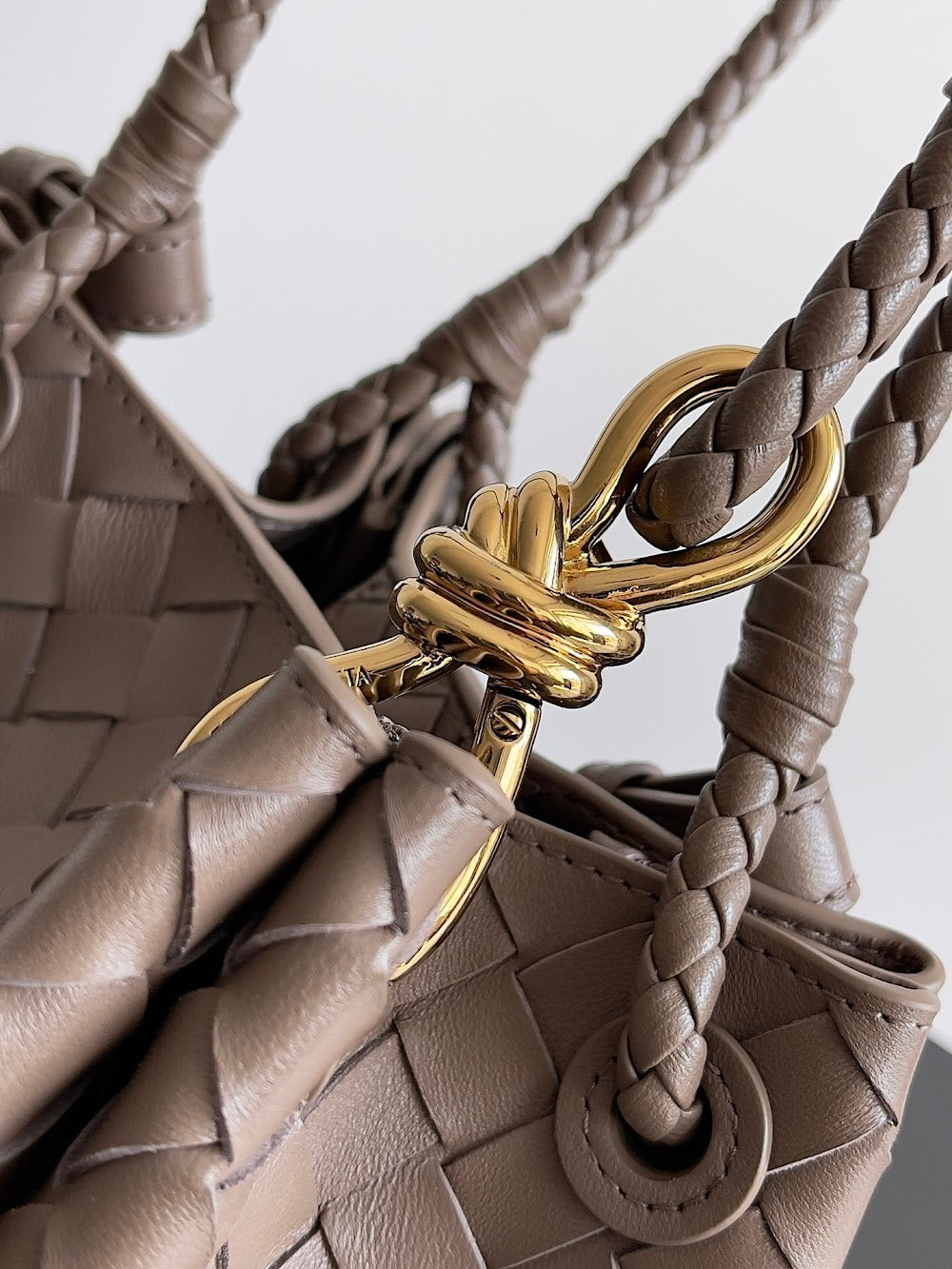 Dragons Bags Bottegan Luxury Bag --90962