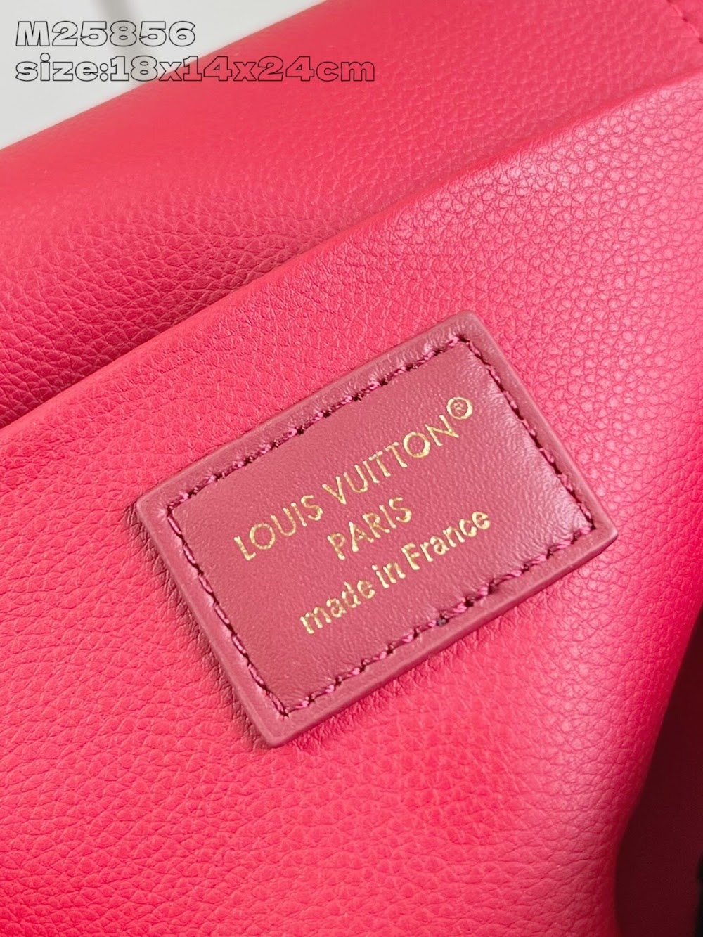 Dragons Bags ln Luxury Bag --96903