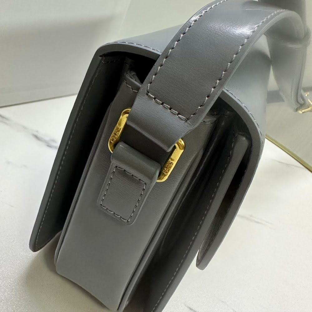 Dragons Bags Celine Luxury Bag --111997